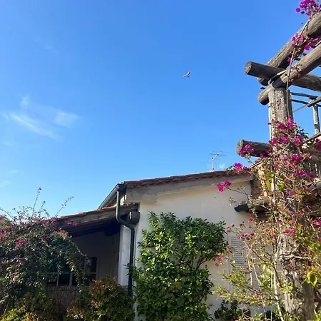 Agriturismo Baratti Gospodarstwo agroturystyczne Baratti