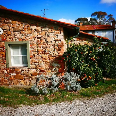 Agriturismo Baratti Gospodarstwo agroturystyczne