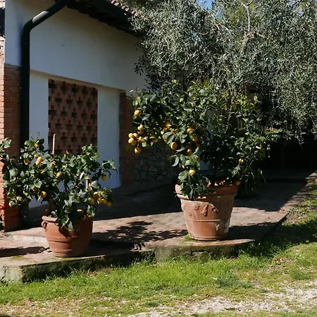 Agriturismo Baratti *