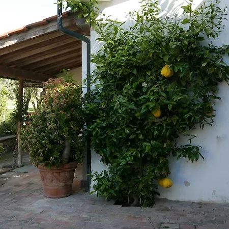 Agriturismo Baratti Gospodarstwo agroturystyczne *