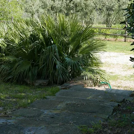 Gospodarstwo agroturystyczne Agriturismo Baratti