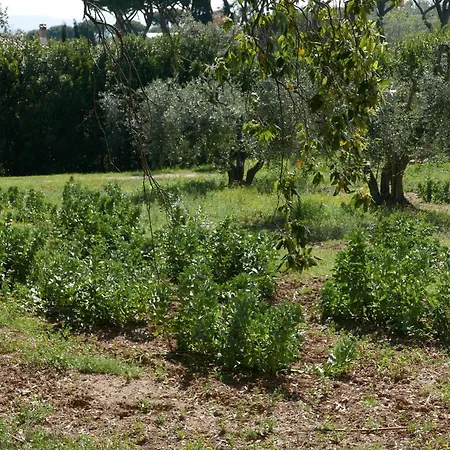 Agriturismo Baratti Gospodarstwo agroturystyczne Baratti