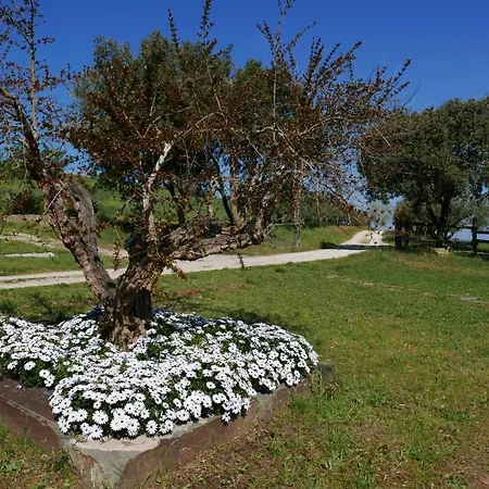 Alloggio per agriturismo Agriturismo Baratti
