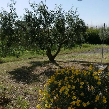 Gospodarstwo agroturystyczne Agriturismo Baratti *